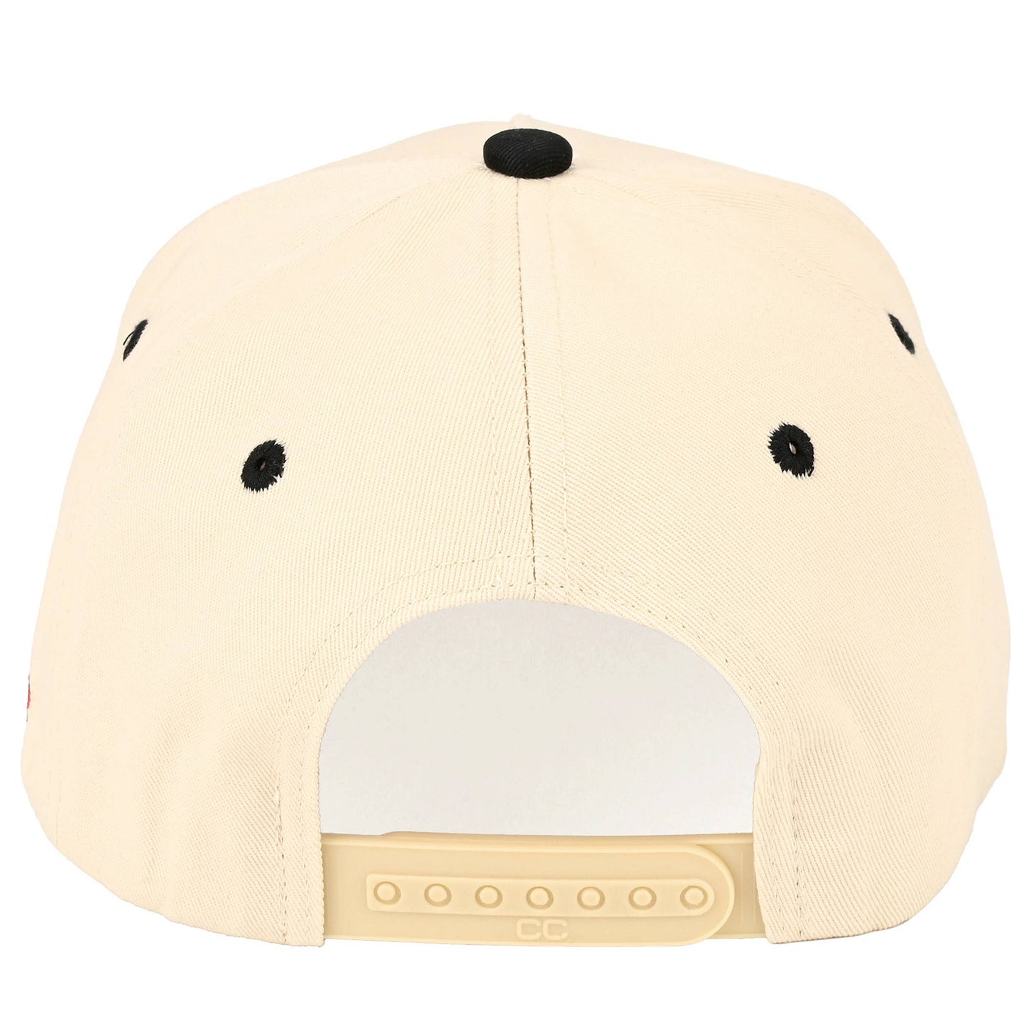 Born to Yap Snap Back