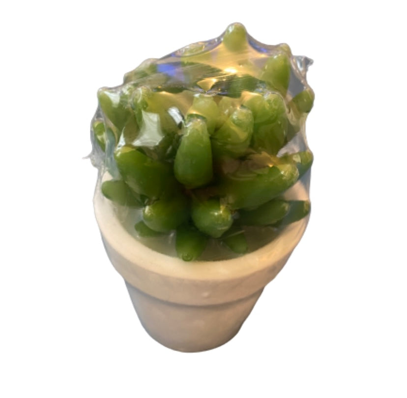 Potted Plant Soap