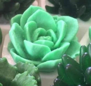 Potted Plant Soap