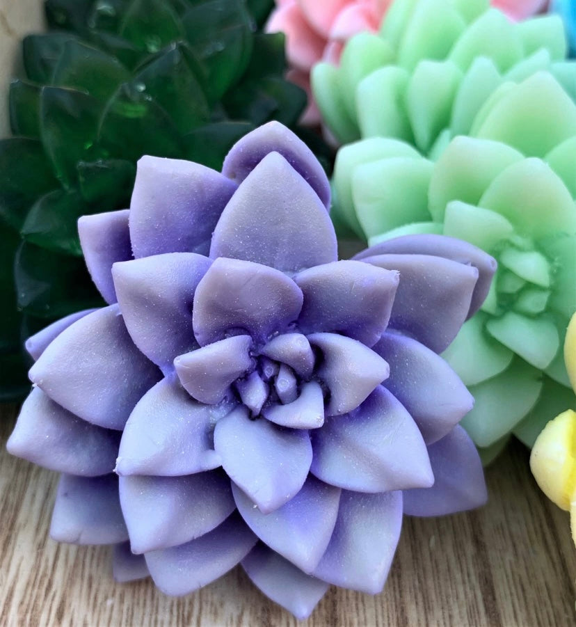 Succulent Soap