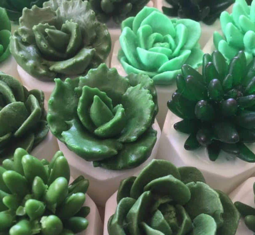 Potted Plant Soap